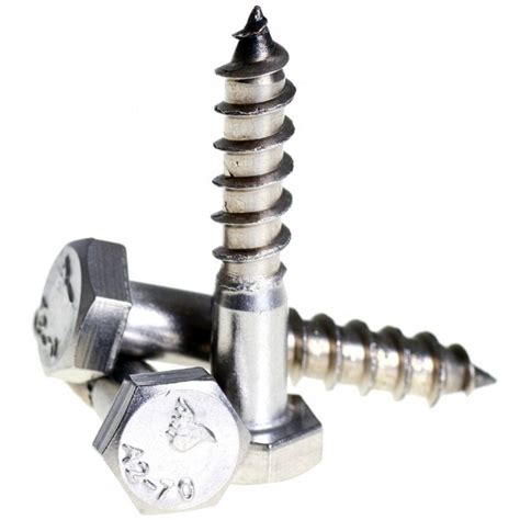 A Stainless Steel Hexagon Coach Screws Bolt Base