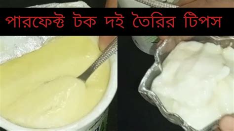 ঘরে খুব সহজে টক দই তৈরির সিক্রেট টিপস Perfect Tok Doi Recipe