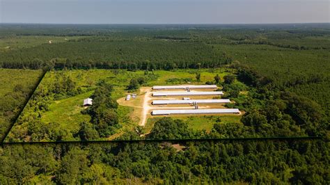 Land For Sale In South Carolina Zillow: How To Find The Best Acreage For Your Budget 1