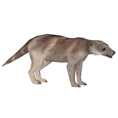 Categoryextinct Marsupials Zt2 Download Library Wiki Fandom