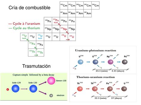 Ppt AnÁlisis De Reactores Y Ciclos De Combustible Nuclear Powerpoint