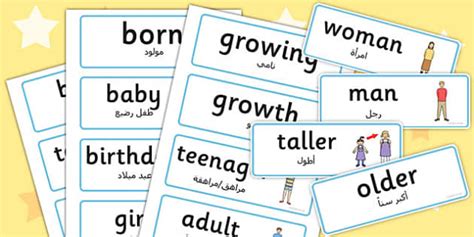 Growth Word Cards Arabic Translation Lehrer Gemacht