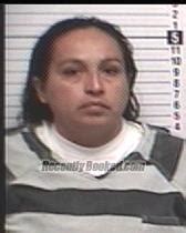 Recent Booking Mugshot For ERIKA J VELAQUEZ In Bay County Florida