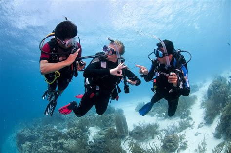 Certificación de buceo Todo lo que necesitas saber