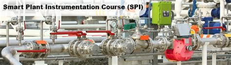 Best Instrumentation Design Course SPI Intools Training