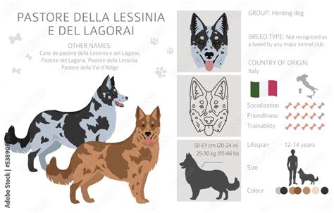 Pastore Della Lessinia E Del Lagorai Clipart All Coat Colors Set All