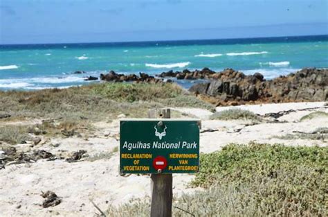 Images Of Agulhas National Park Western Cape Nature Reserve South Africa