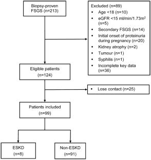 Fsgs Eskd International Urology And Nephrology X Mol