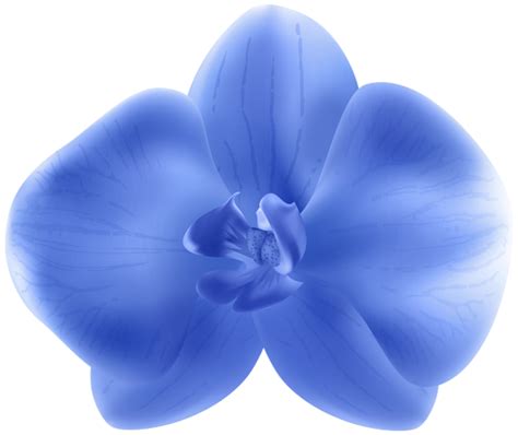 Blue Orchid PNG Transparent Clipart | Gallery Yopriceville - High ...