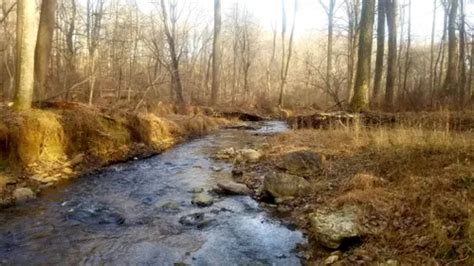 Best Hikes And Trails In Magruder Branch Stream Valley Unit 1 AllTrails