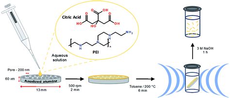 Templated Microwave Synthesis Of Luminescent Carbon Nanofibers Rsc