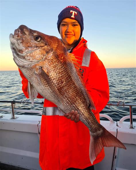 Snapper Whiting Calamari Charters Sharkmen Charters Melbourne