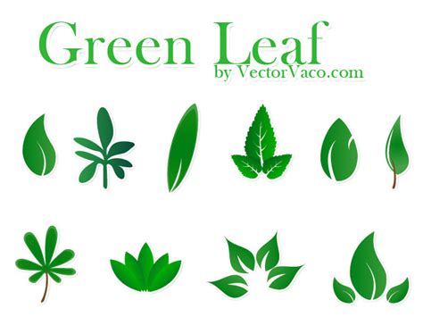 Green Leaf Vector - ClipArt Best