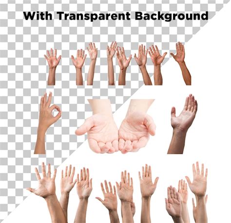 Premium Psd Hands Multiple Action Gesture Photo Png Psd Transparent