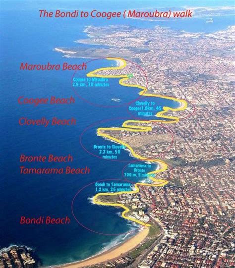 Bondi To Coogee Walk Map Australia Travel Sydney Travel Sydney Beaches