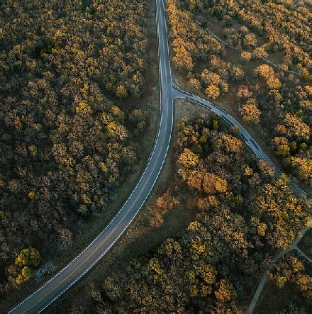 Wildlife Corridors | Definition, Types & Examples | Study.com