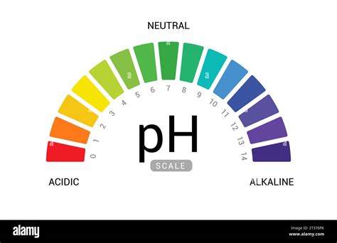 Ph Scale Indicator Chart Chart Diagram Ac Dica Medida Alcalina Ph