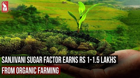 SANJIVANI SUGAR FACTORY EARNS RS 1 1 5 LAKHS FROM ORGANIC FARMING YouTube