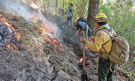 Reconocen Valentía De Combatientes De Incendios Forestales En Morelos La Comadre 101 7 La