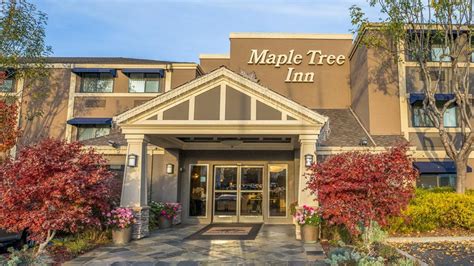 Photo Gallery | Hotel Near San Jose Airport | Maple Tree Inn