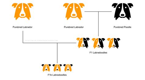 Dog Breeding Techniques List Definitions Use Cases Pros And Cons