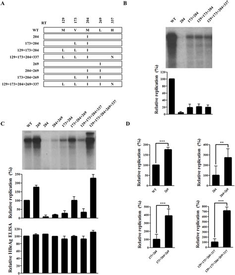 RtL269I Substitution Enhances The Replication Of Both WT And