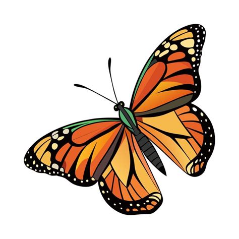 Premium Vector Monarch Butterfly Flying Illustration Monarch