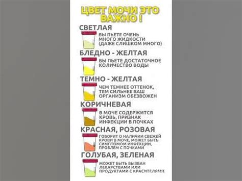 Цвет мочи-это важно #полезныесоветы - YouTube