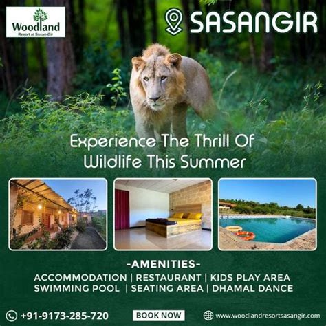 Best Resorts in Sasan Gir — Woodland Resort Sasan Gir | by Woodland ...