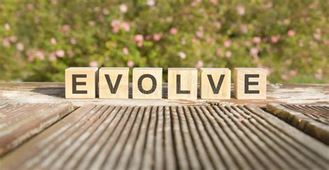 Evolve Word Made With Building Blocks Concept Stock Photo Image Of