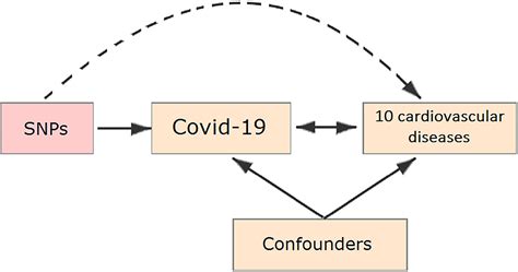 Frontiers Genetic Predisposition To Coronavirus Disease 2019 In