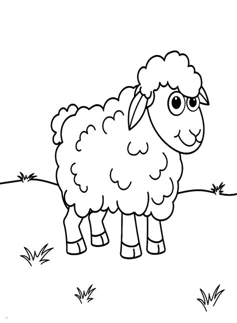 Cute Lamb Coloring Page Free Printable Coloring Pages