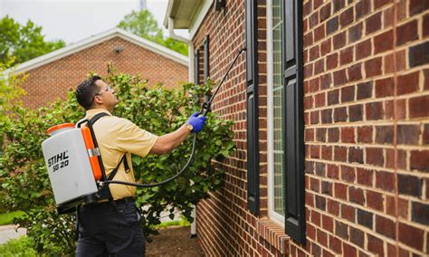 Signs of Termite Damage and Termite Infestations - Dodson Pest Control