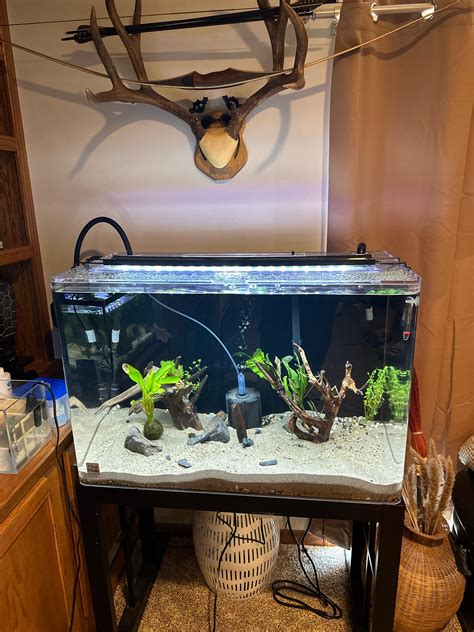 Stocking Ideas For My 65 Gallon R Aquariums