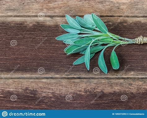 Sage Leaves On Wooden Table Salvia Officinalis Stock Image Image Of