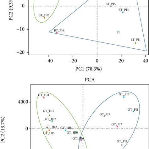 Visualization Of Differentially Expressed Gene And Enrichment Analysis