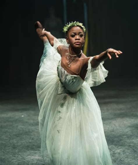 How Did Michaela Deprince Die Trailblazing Ballerina Who Overcame