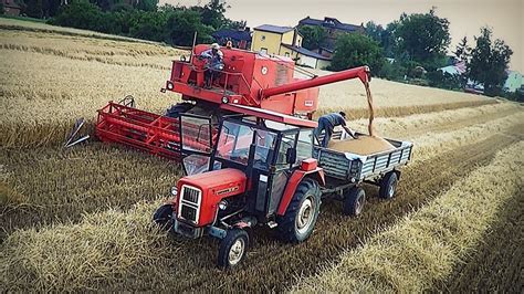 Niwa Bizon Z Massey Ferguson Ursus C Mafiasolec