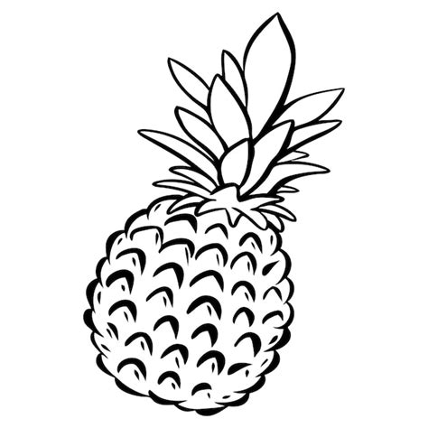 Ananas früchte vektor illustration Premium Vektor