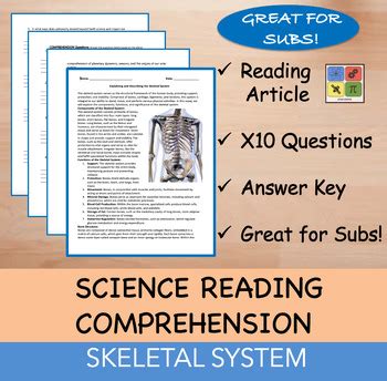 The Skeletal System Reading Passage And X 10 Questions EDITABLE