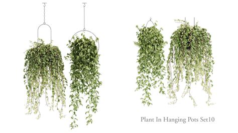 ArtStation - plant in hanging pots _ set 10 | Resources