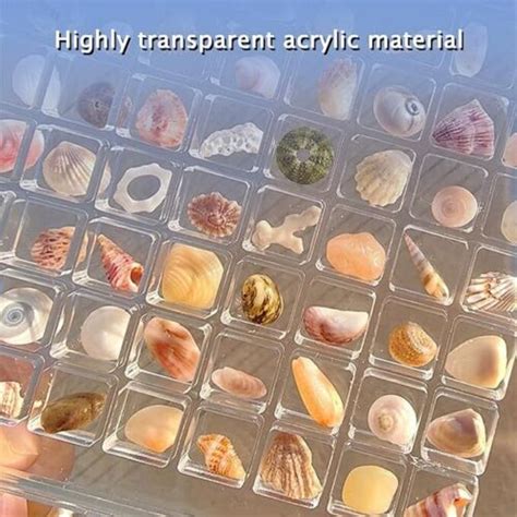 Pcs Acrylic Magnetic Seashell Display Box Grids Seashell