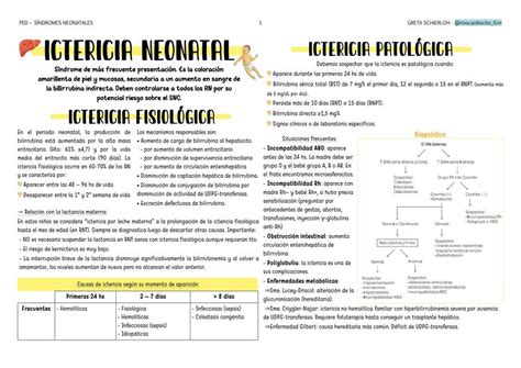 Ictericia Neonatal Miocardiocito UDocz