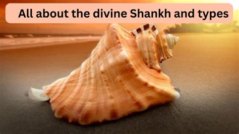 All About The Divine Shankh And Types Curiousport