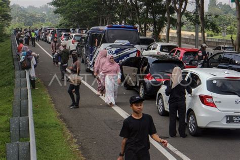 Volume Kendaraan Menuju Kawasan Puncak Bogor Antara Foto