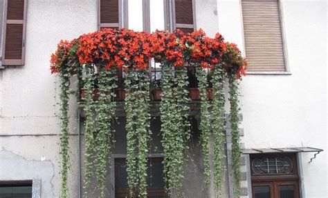 Balcony Flower Pots Ideas l Small Balcony Flower Pots Ideas l Balcony ...