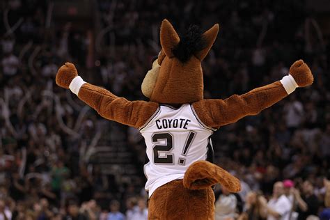 Spurs mascot chases bat before Timberwolves game | kare11.com