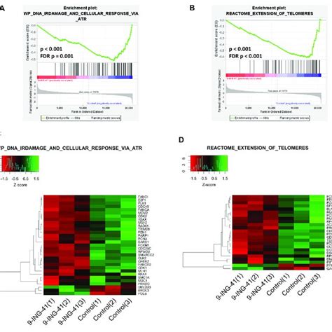 GSEA Enrichment Plots A B And Heat Maps C D For Hallmark E2F