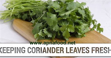 How To Store Fresh Coriander | Apna Food