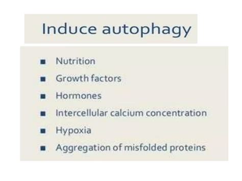 autophagy .pptx | Biological Sciences | Science 